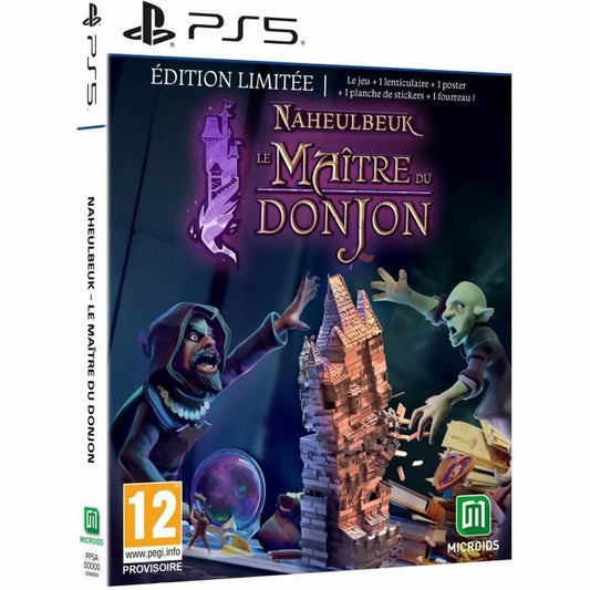 Jogo eletrónico PlayStation 5 Microids Naheulbeuk : Le Maitre Du Donjon