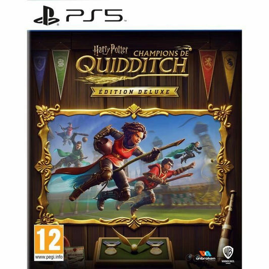 Jogo eletrónico PlayStation 5 Warner Games Quidditch Champions (FR)