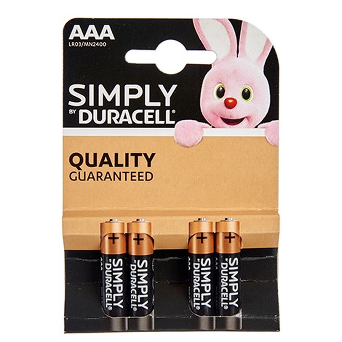 Pilhas Alcalinas LR03 DURACELL (10 Unidades)